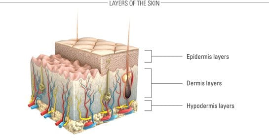 Signs of ageing